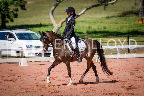 PatronsCup-502