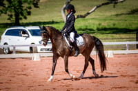 PatronsCup-503