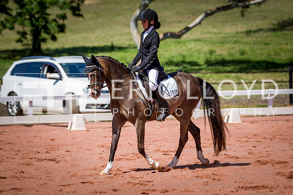 PatronsCup-503