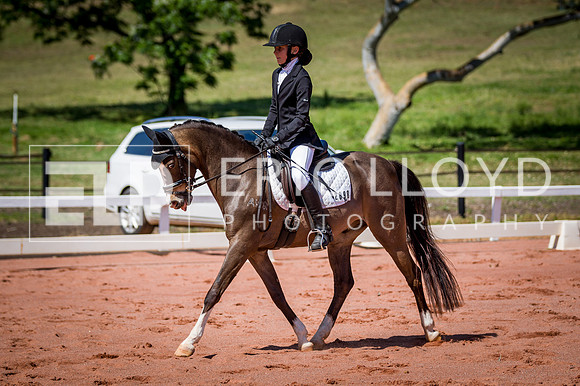PatronsCup-505