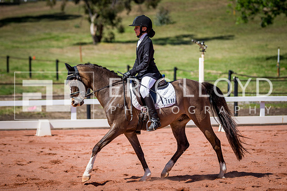 PatronsCup-506