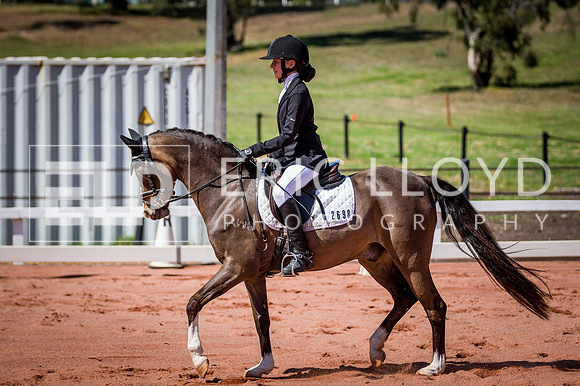 PatronsCup-509