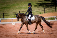 PatronsCup-513