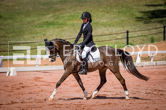 PatronsCup-514
