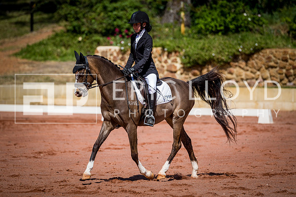 PatronsCup-515