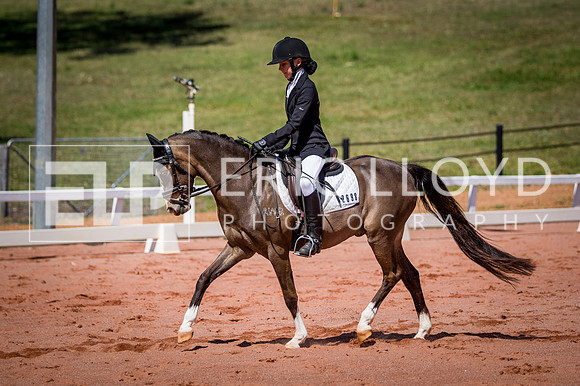 PatronsCup-518