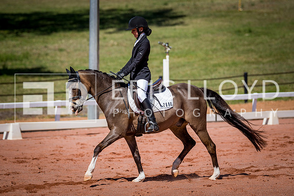 PatronsCup-519