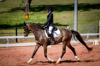 PatronsCup-521
