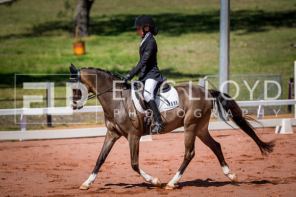 PatronsCup-521