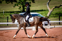 PatronsCup-523