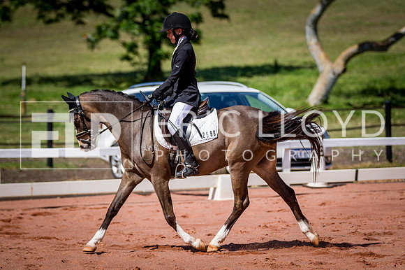 PatronsCup-523