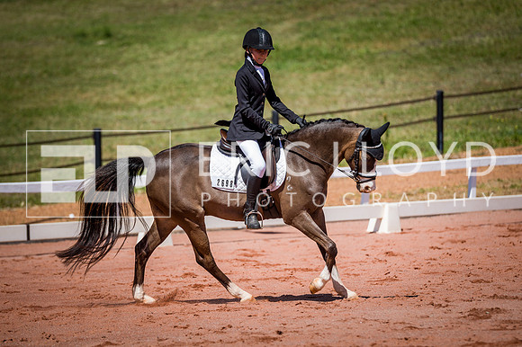 PatronsCup-525