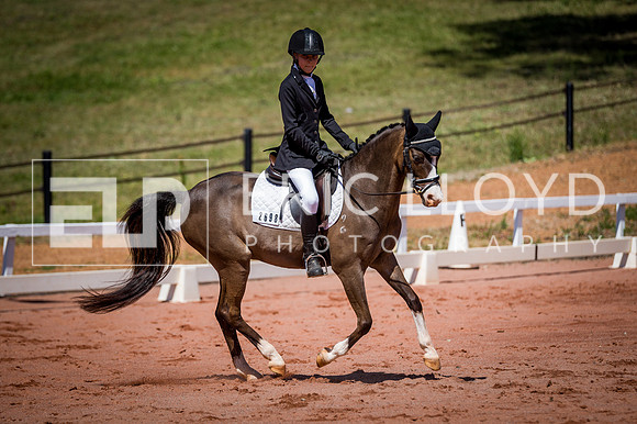 PatronsCup-527