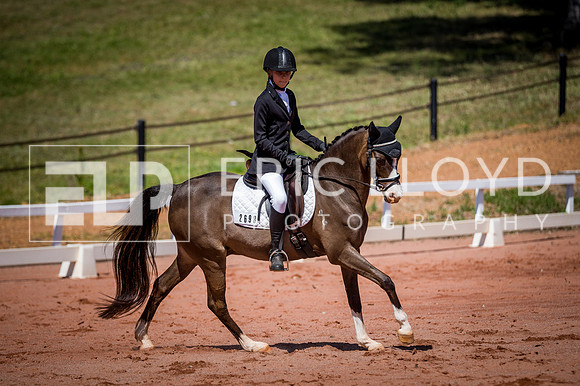 PatronsCup-528
