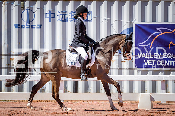 PatronsCup-530