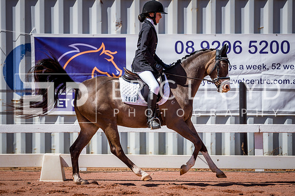 PatronsCup-531