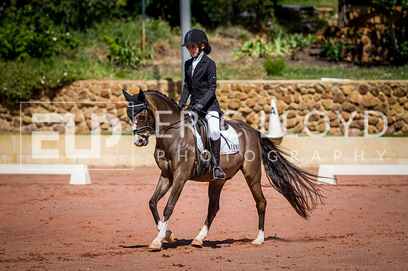 PatronsCup-533