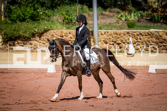 PatronsCup-534