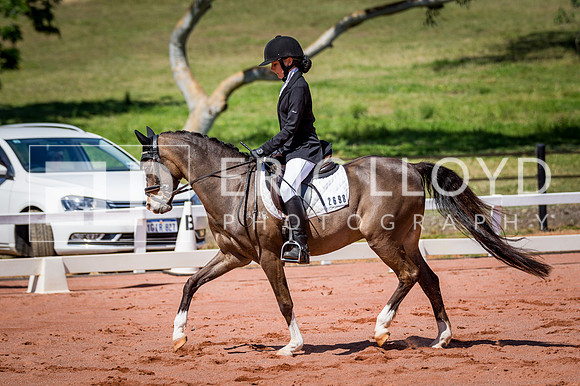PatronsCup-536