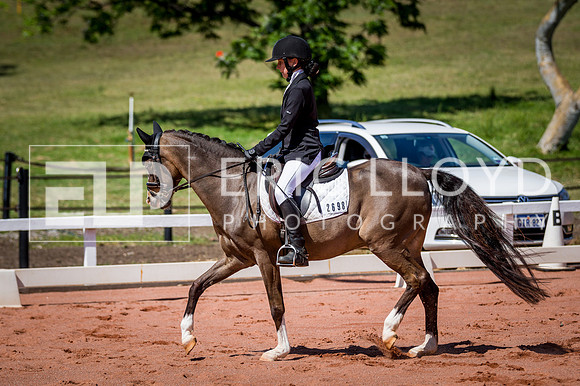 PatronsCup-538
