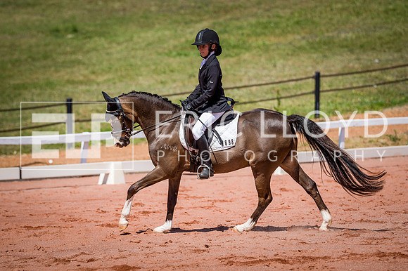 PatronsCup-539