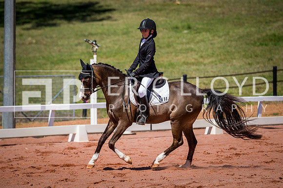 PatronsCup-540