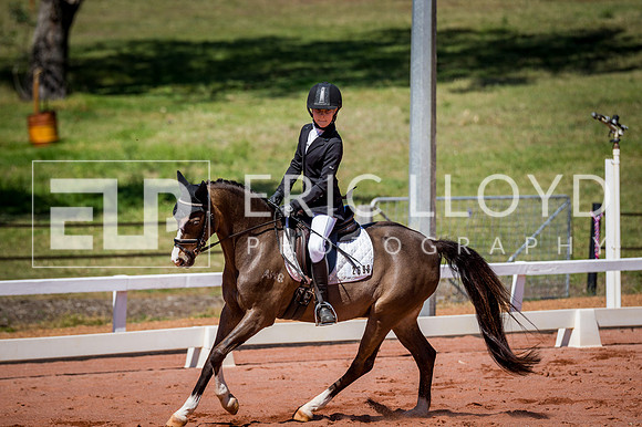 PatronsCup-542