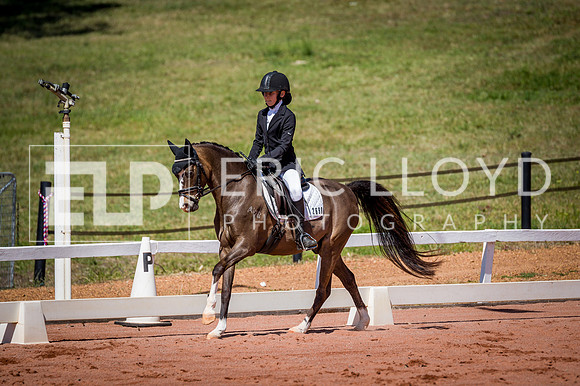PatronsCup-545