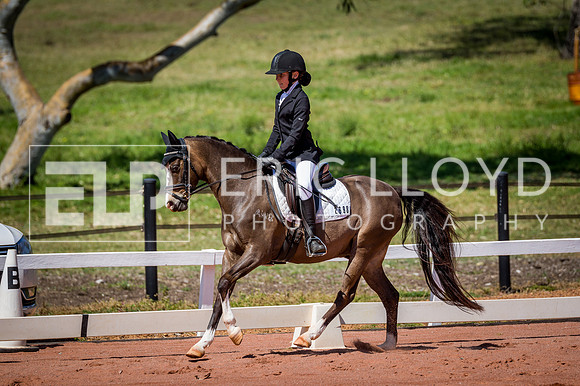 PatronsCup-547
