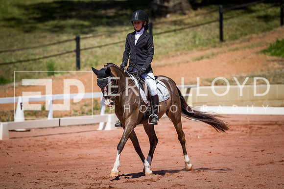 PatronsCup-549