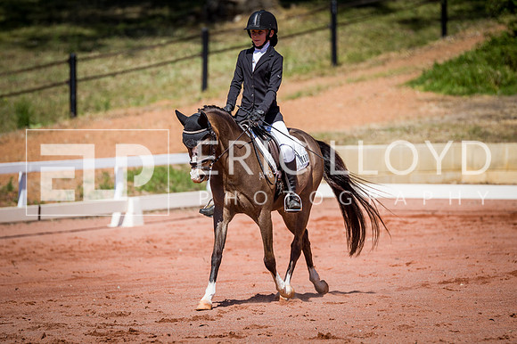 PatronsCup-548