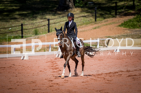 PatronsCup-774