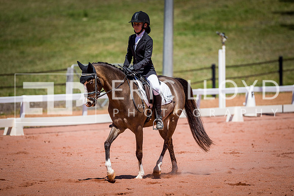 PatronsCup-775