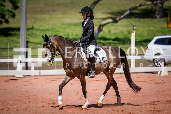 PatronsCup-780