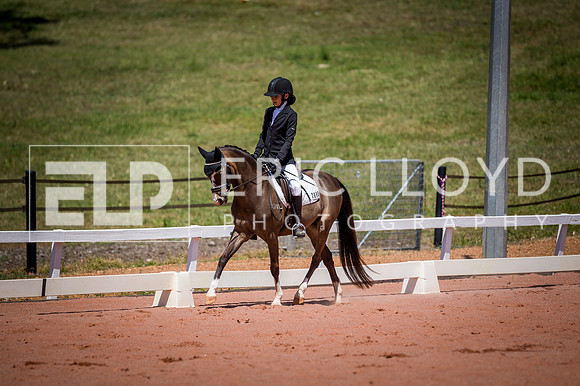 PatronsCup-789