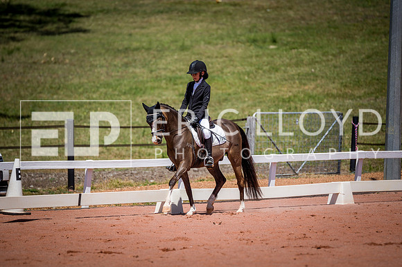 PatronsCup-791