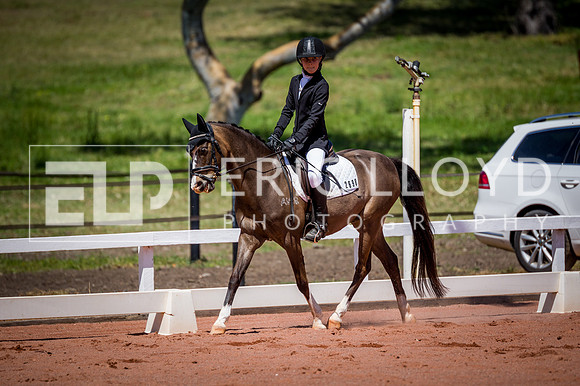PatronsCup-793