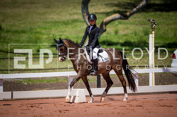 PatronsCup-795