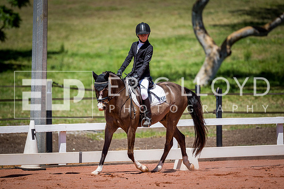 PatronsCup-798