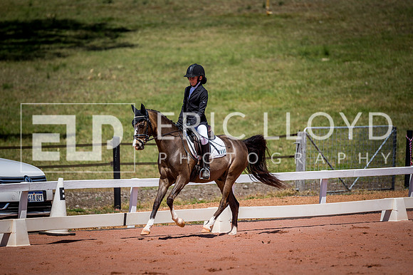 PatronsCup-805