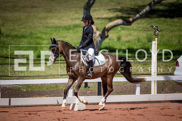 PatronsCup-809
