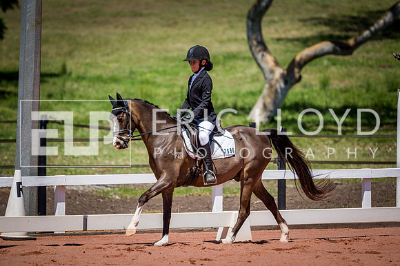 PatronsCup-810