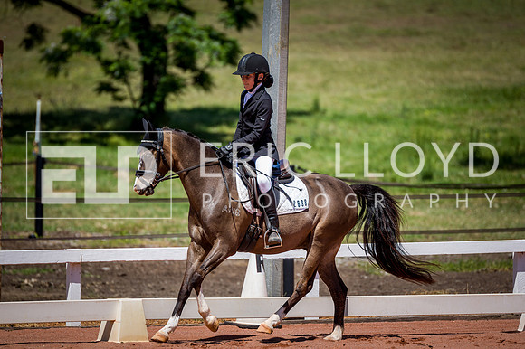 PatronsCup-813