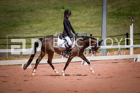 PatronsCup-816