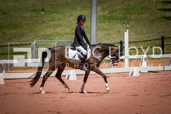 PatronsCup-818