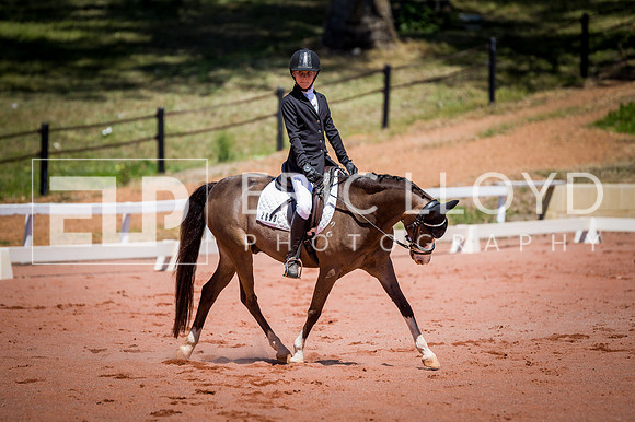 PatronsCup-823