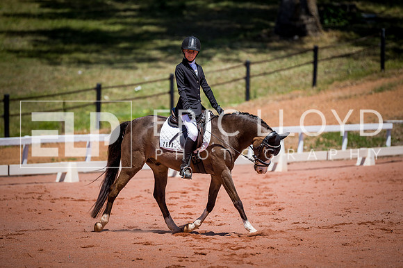PatronsCup-821