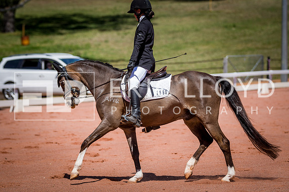 PatronsCup-825