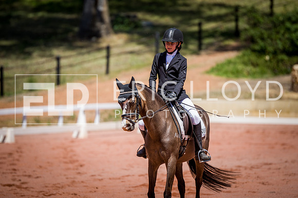 PatronsCup-828
