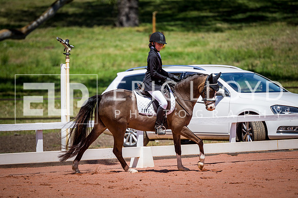 PatronsCup-833